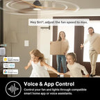 Kasa Smart Ceiling Fan Control & Dimmer Switch | Adjustable 4-Speed Fan & Brightness Control | Works w/Apple HomeKit, Alexa & Google Home | 2.4G Wi-Fi Only, Single Pole, Neutral Wire Required | KS240 - Image 6