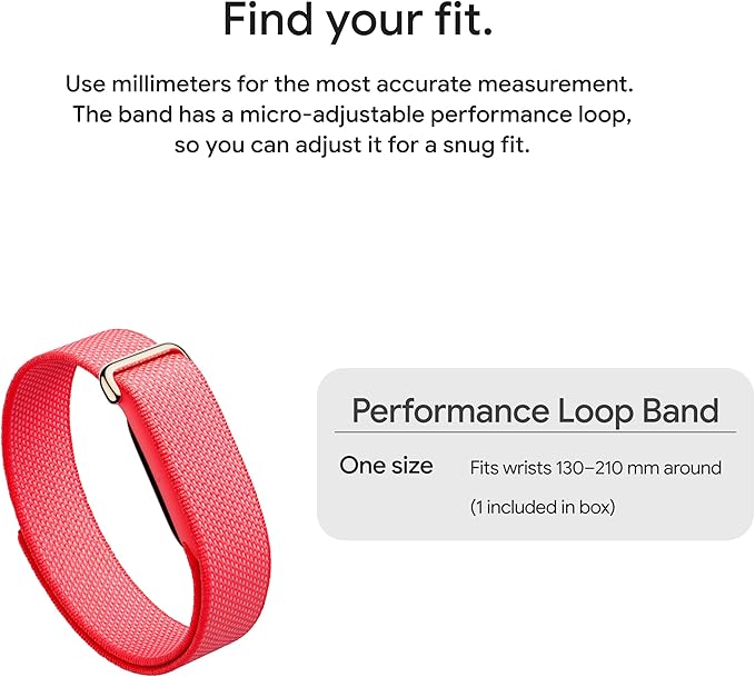 Google Fitbit Air - Berry with Large Fog Active Band Bundle - Image 12