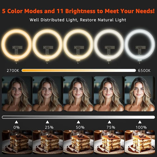 10" LED Ring Light with Overhead Phone Stand, CRI≥95 1200lm Dimmable Lighting, Adjustable Metal Arm with Remote & Phone Holder, for Streaming, Makeup, Zoom Calls, Photography - Image 2