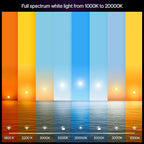 Philips Hue Smart LED A19 Bulb, 3 Pack, White & Color Ambiance, E26 Base, 7.2W, Full Spectrum Light 1000K-20000K, 810 Lumens, Dimmable LED Bulbs, Works with Alexa, Google,& Apple Home - Image 3