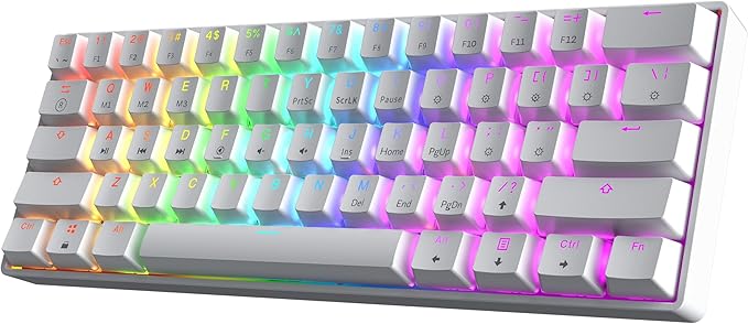 HK GAMING GK61 SE 60% | Mechanical Gaming Keyboard | 61 Keys Multi Color RGB LED Backlit for PC/Mac Gamer | US Layout (White, Mechanical Blue) by HKGaming