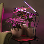 Solar Grow Lights with Batteries, 2 Heads Clip Plant Growing Lamp with Red Blue Spectrum for Indoor Plants, 3/9/12H Timer, 3 Dimmable Level, Adjustable Gooseneck,3 Switch Modes, Auto On Off - Image 7