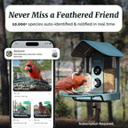 Smart Bird Feeder 4K AI Camera with Solar Panel for Outdoors, Bird Species Identification, 8MP Photos, 4K Video Livestream, Real-Time Bird Alerts, Birdwatching Gifts for Bird Lovers, Forest Birch - Image 3