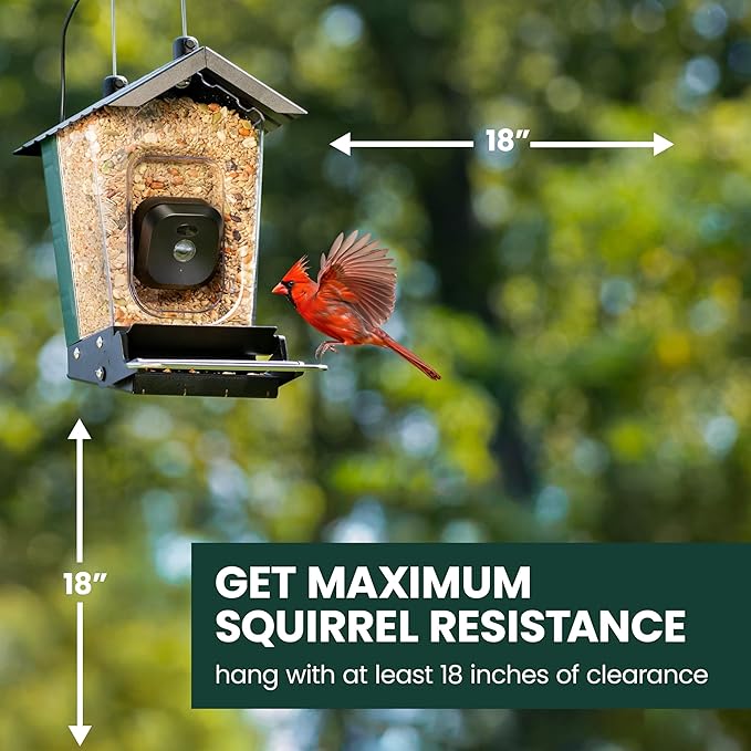 Perky-Pet Solar Powered Smart Bird Feeder with Camera - Squirrel-Resistant, 3.2L Capacity, Motion Activated 1080p HD WiFi Live Stream Camera, SPCAM, SPCAMSLR - Camera Feeder Gift Idea, Red - Image 9