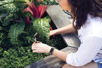 Fitbit Charge 3 Fitness Activity Tracker - Image 7