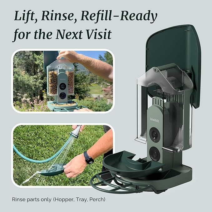 Smart Bird Feeder 4K AI Camera with Solar Panel for Outdoors, Bird Species Identification, 8MP Photos, 4K Video Livestream, Real-Time Bird Alerts, Birdwatching Gifts for Bird Lovers, Forest Birch - Image 7