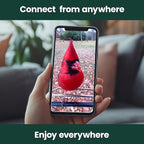 Perky-Pet Solar Powered Smart Bird Feeder with Camera - Squirrel-Resistant, 3.2L Capacity, Motion Activated 1080p HD WiFi Live Stream Camera, SPCAM, SPCAMSLR - Camera Feeder Gift Idea, Red - Image 5