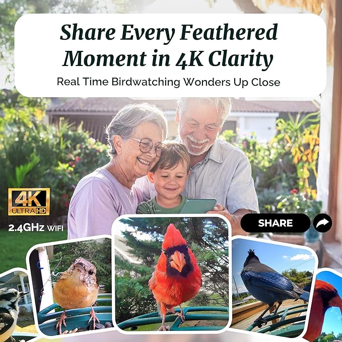 Smart Bird Feeder 4K AI Camera with Solar Panel for Outdoors, Bird Species Identification, 8MP Photos, 4K Video Livestream, Real-Time Bird Alerts, Birdwatching Gifts for Bird Lovers, Forest Birch - Image 2