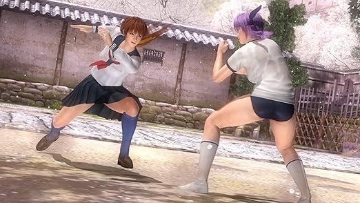 Dead or Alive 5 Plus (Playstation Vita) (UK) (UK Account required for online content) - Image 4