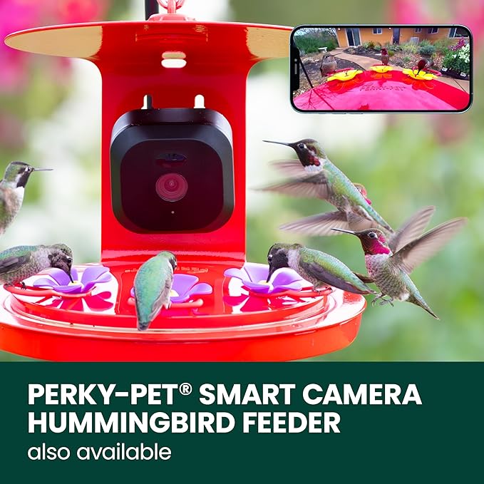 Perky-Pet Solar Powered Smart Bird Feeder with Camera - Squirrel-Resistant, 3.2L Capacity, Motion Activated 1080p HD WiFi Live Stream Camera, SPCAM, SPCAMSLR - Camera Feeder Gift Idea, Red - Image 10